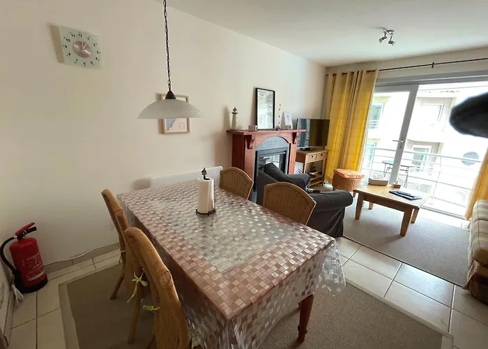 Stylish With A Swimming Pool By The Sea T129 * Ostend