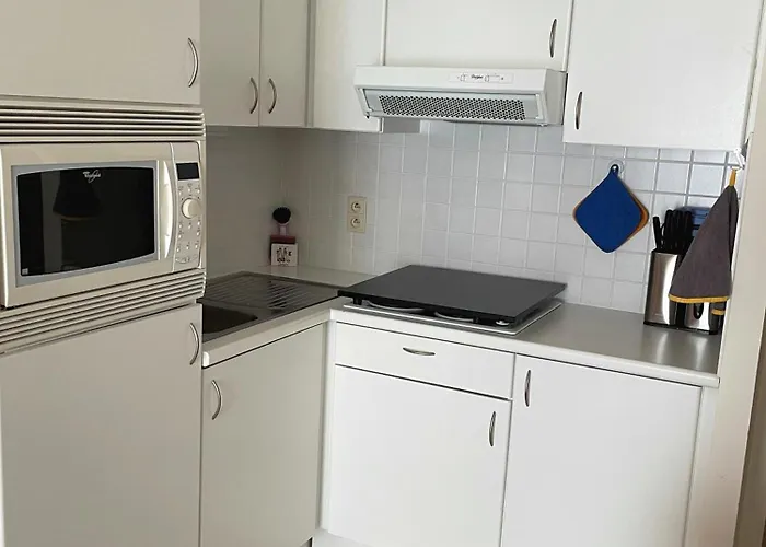 Stylish With A Swimming Pool By The Sea T129 Ostend